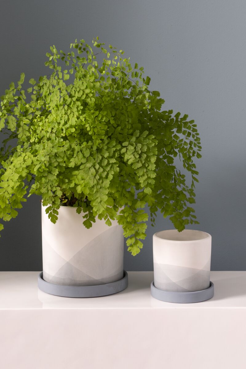 Minimalist Planter - Planter with Watering Saucer - Fits 4
