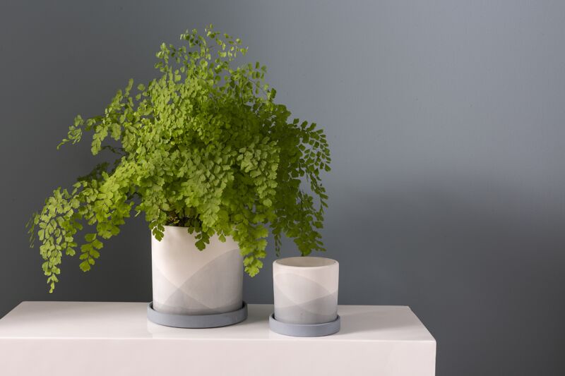 Minimalist Planter - Planter with Watering Saucer - Fits 4