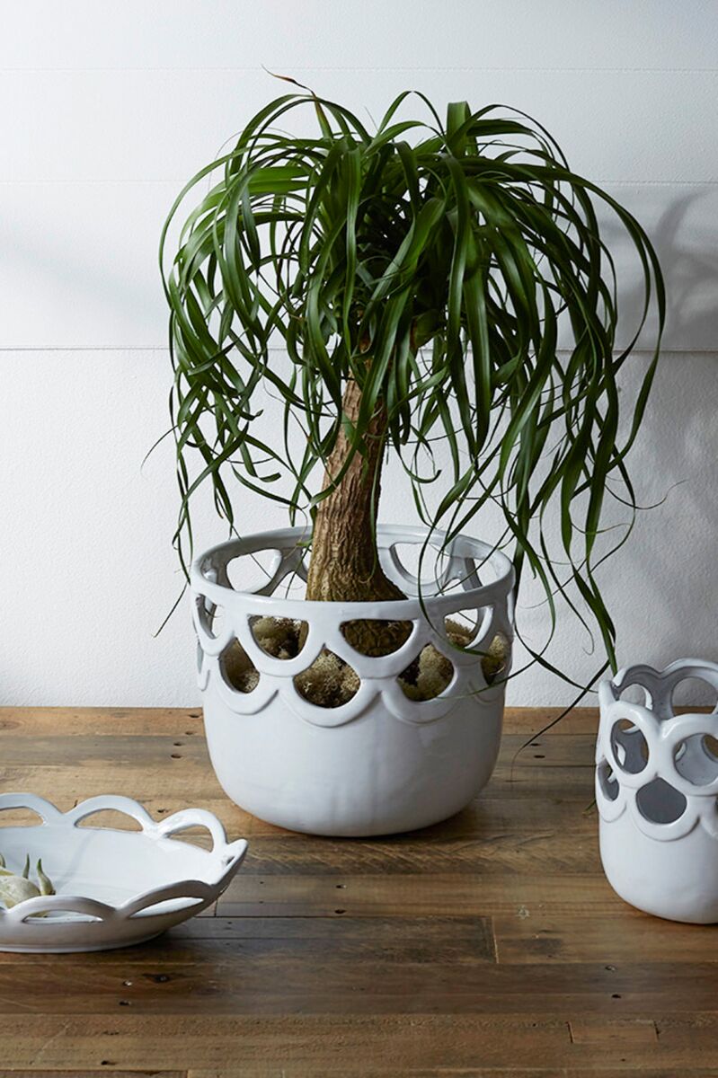 Celeste Lattice Planter