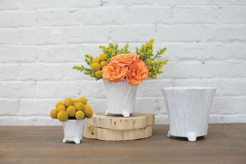 Isla Ceramic Bark Planter