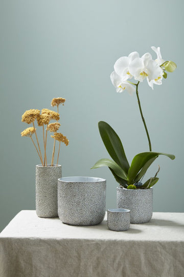 Millie Planter