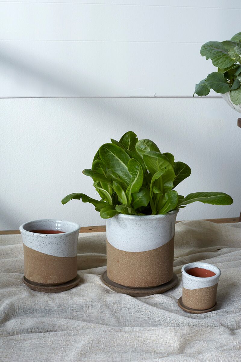 Tivoli Planter