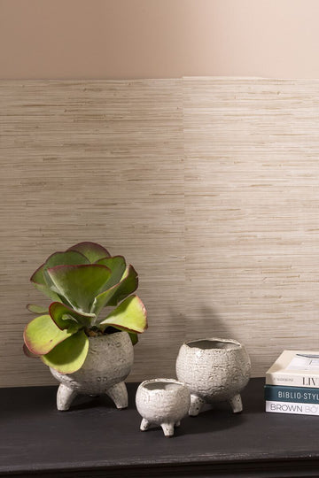 Bristlefoot Planter