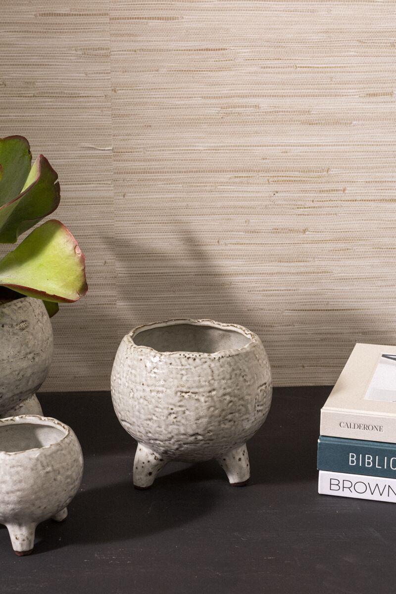 Bristlefoot Planter