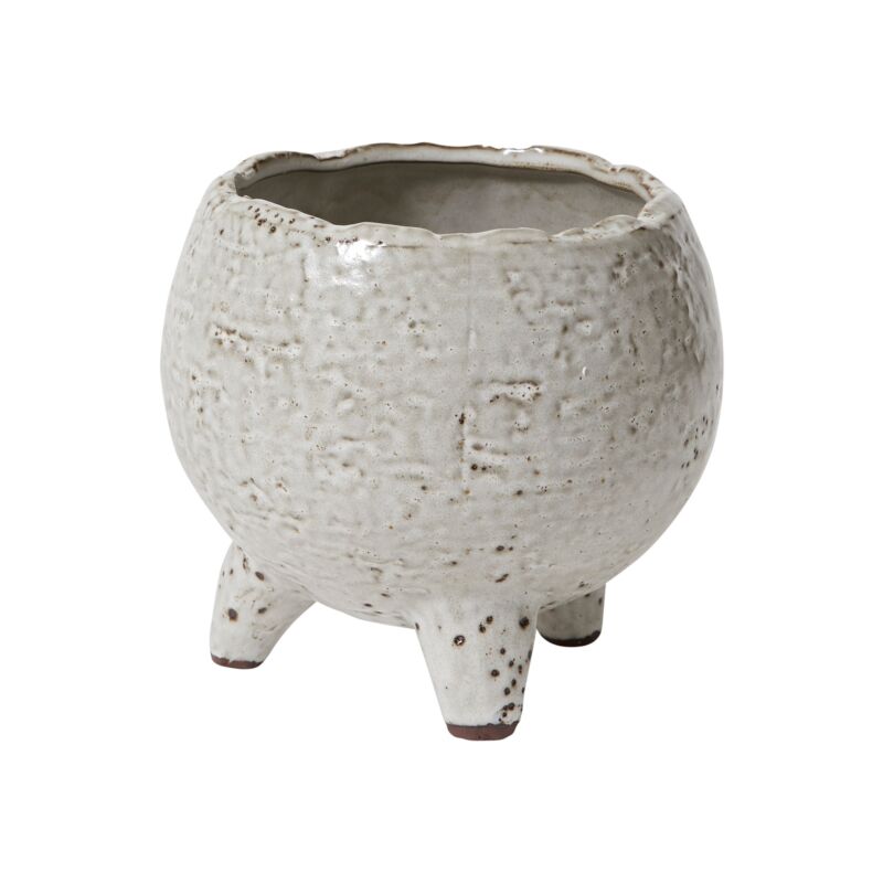 Bristlefoot Planter
