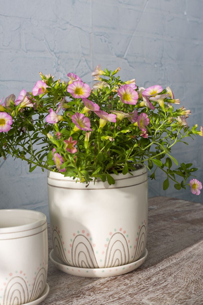 Maren Planter