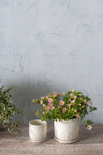 Maren Planter