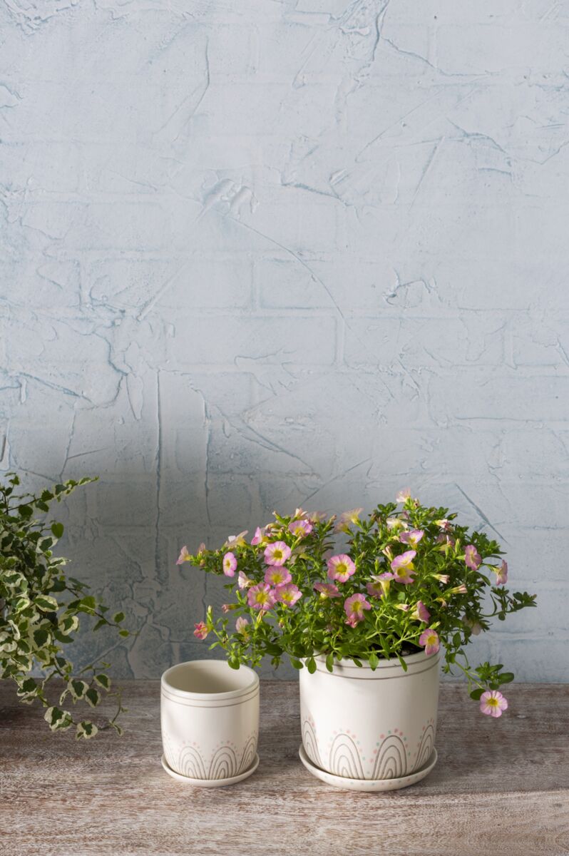 Maren Planter