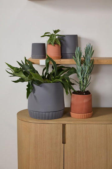 Slate Planter - Pot with Watering Saucer - Fits 4
