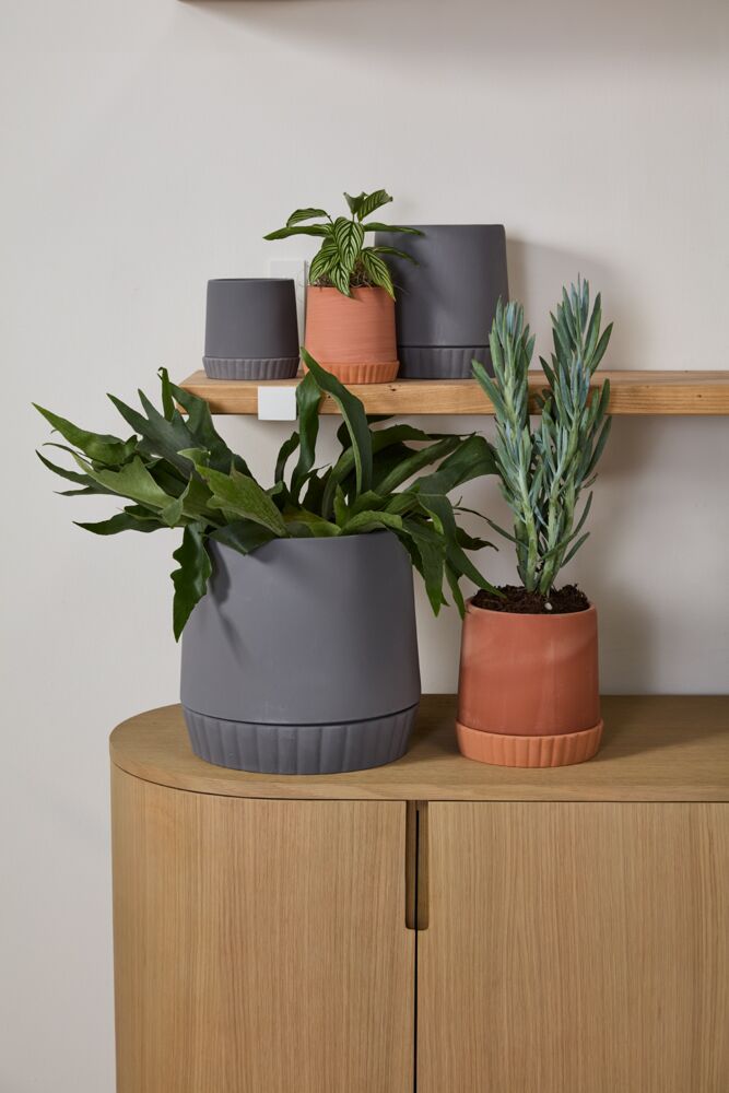 Slate Planter - Pot with Watering Saucer - Fits 4