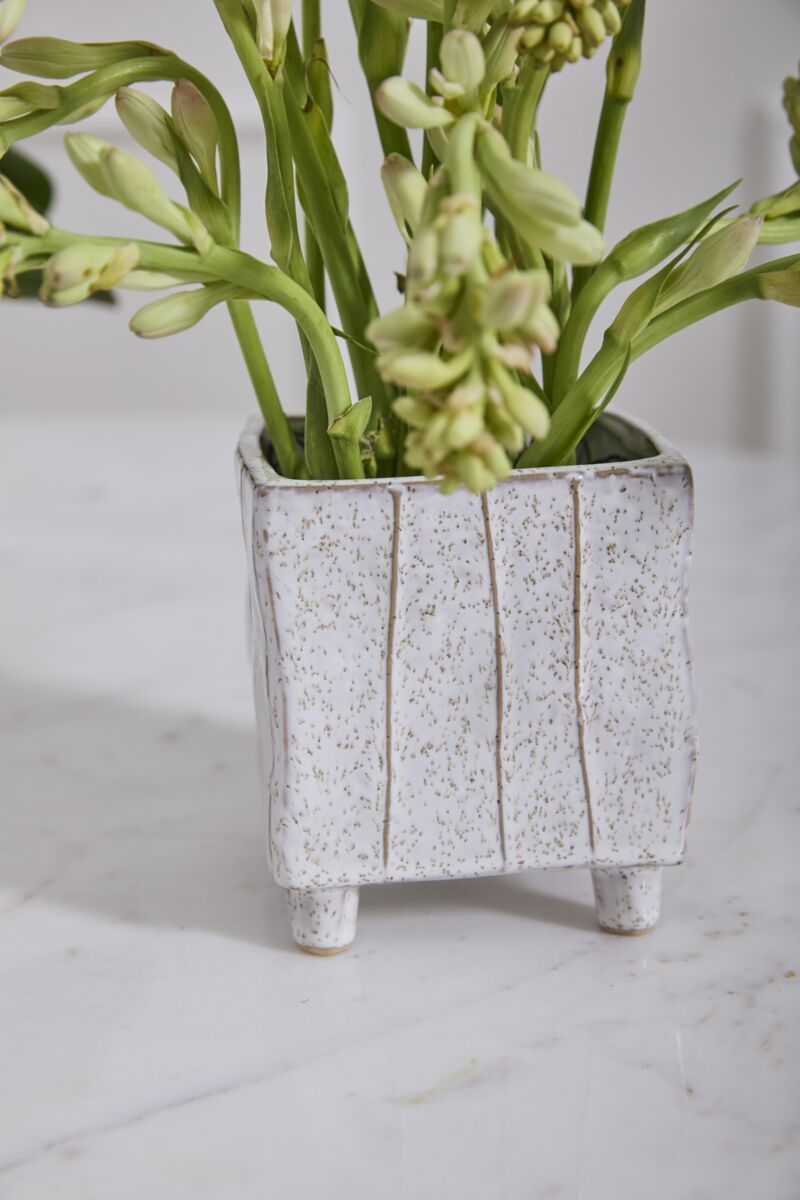 Lark Planter