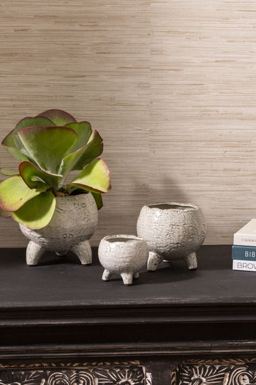Milo Set Planter