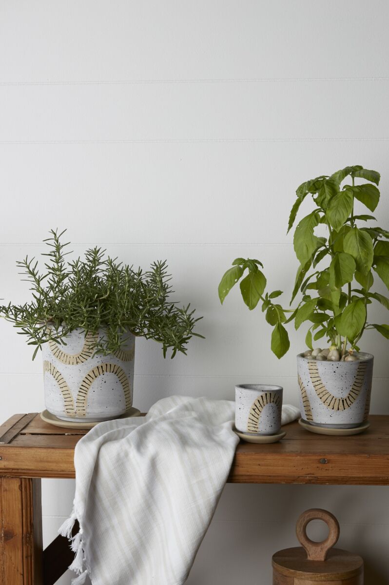 Papyrus Pot - Planter with Watering Saucer - Fits 4