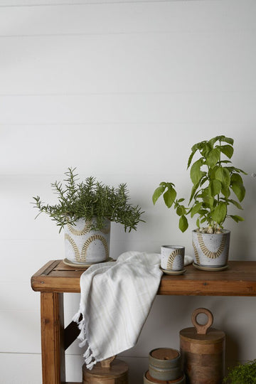 Papyrus Pot - Planter with Watering Saucer - Fits 4