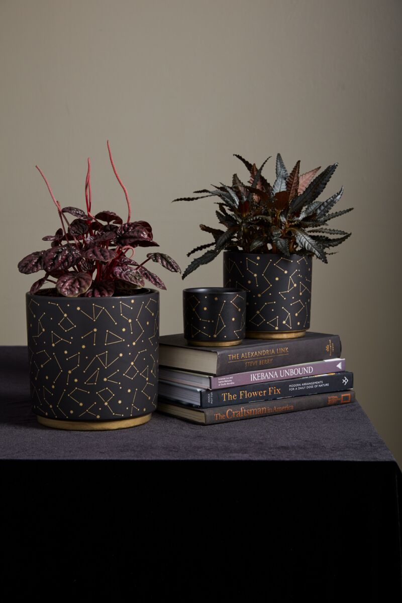 Celeste Midnight Constellation Ceramic Planter