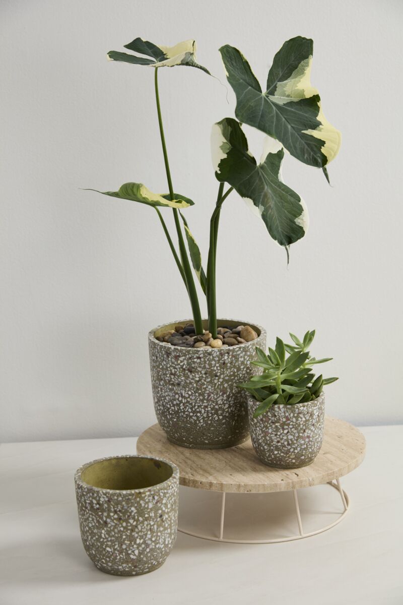 Speckled Terrazzo Planter