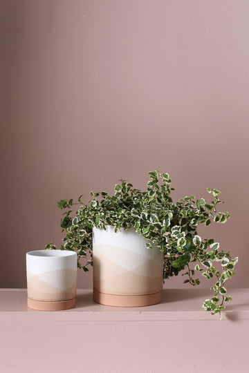 Pastel Planter - Planter with Watering Saucer - Fits 4