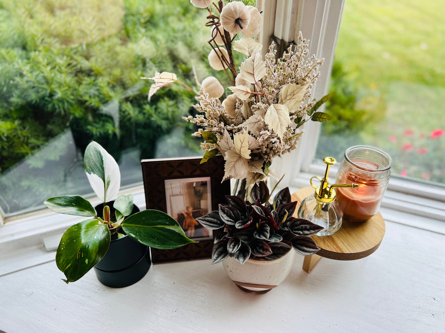 Mid Century Modern Planter - Speckled Matte Pot