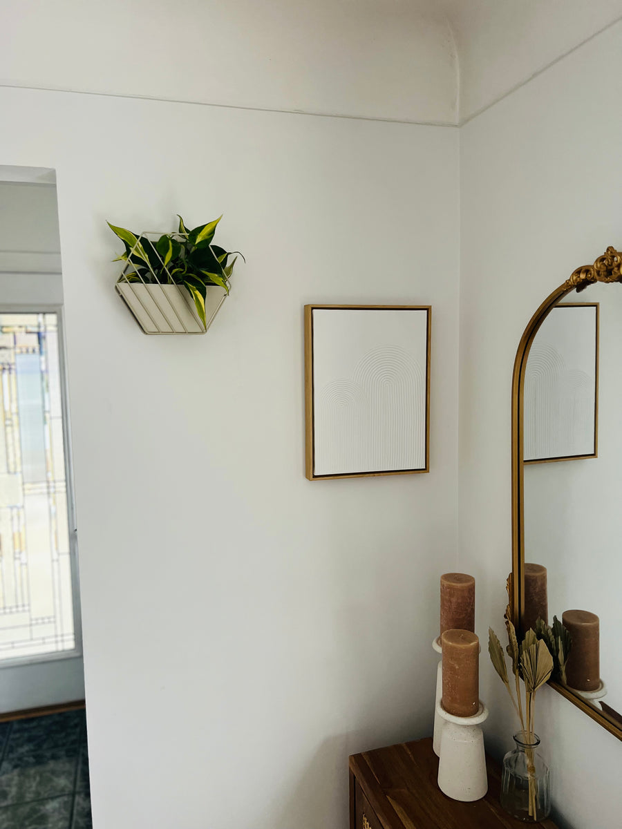 Boca Hanging Planter - Mountable Wall Planter