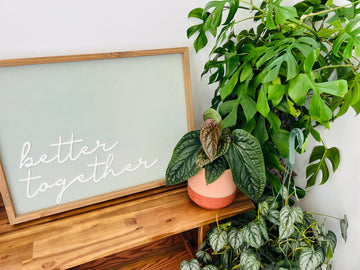 Juniper Pot - Matte Planter - Available in Multiple Sizes