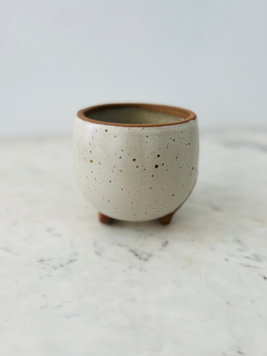 Mid Century Modern Planter - Speckled Matte Pot