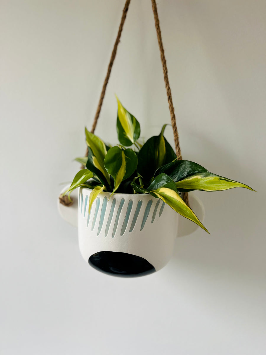 Mahalo Hanging Planter - 10