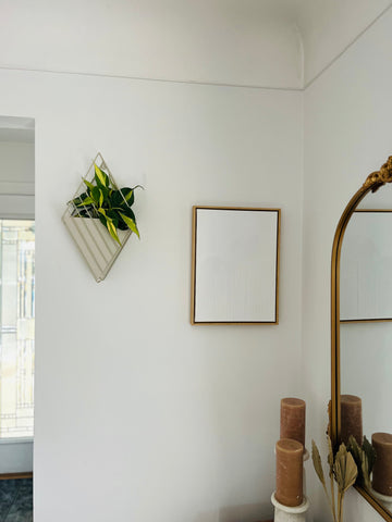 Boca Hanging Planter - Mountable Wall Planter