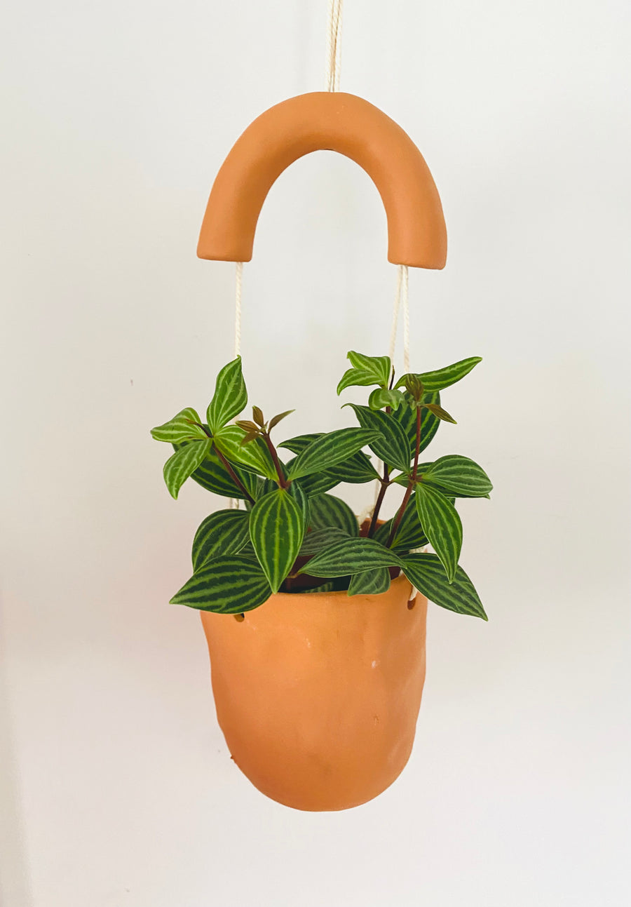 Astrid Pot - 4.5” Hanging Planter