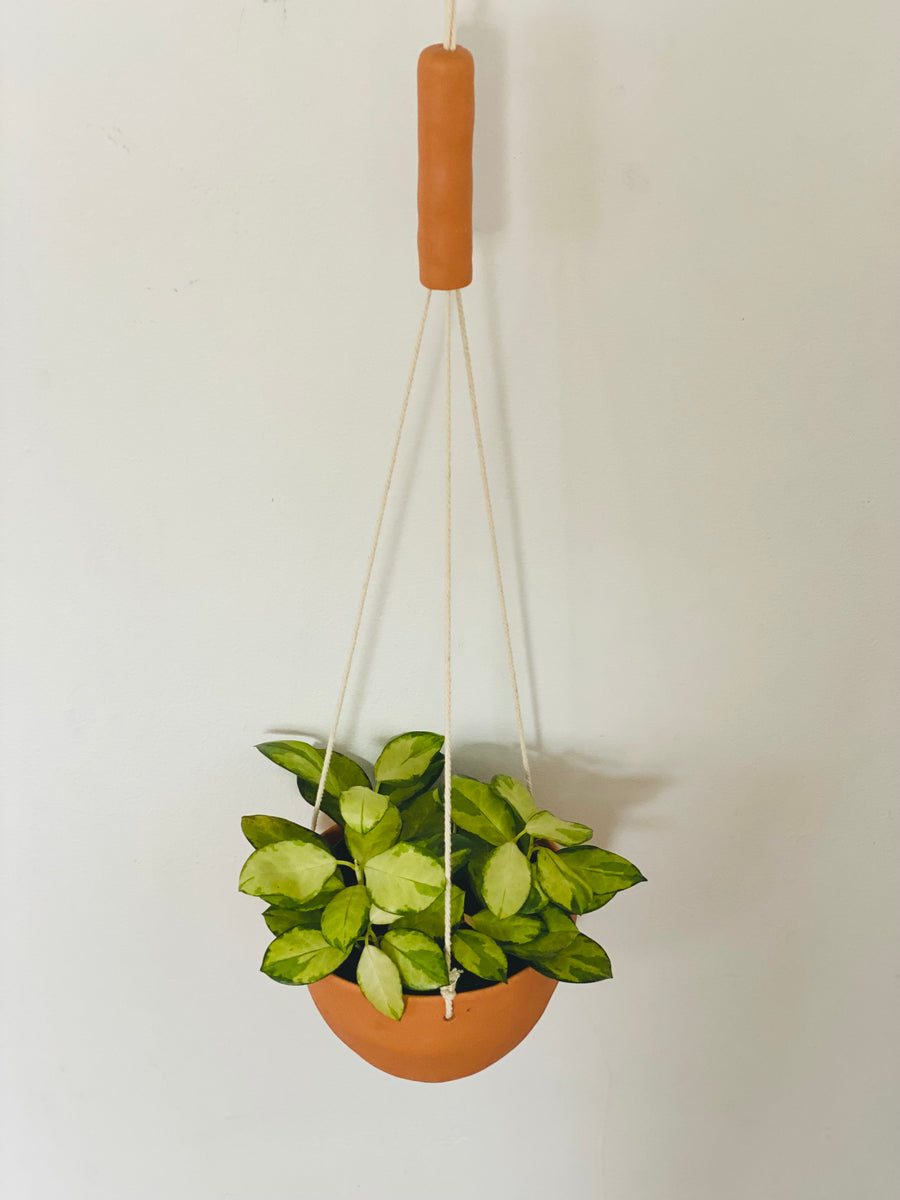 Birdie Pot - 6” Hanging Planter