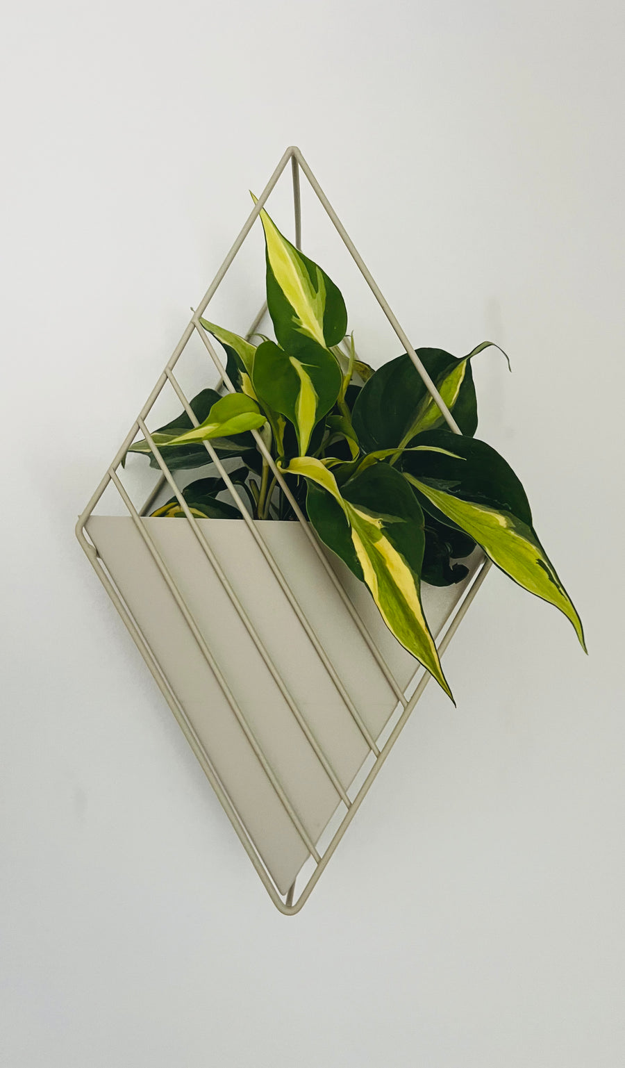 Boca Hanging Planter - Mountable Wall Planter