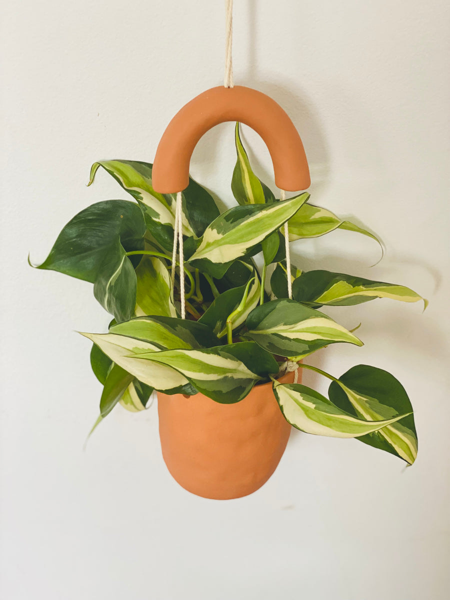 Astrid Pot - 4.5” Hanging Planter